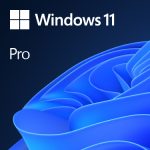 Microsoft Windows 11 Pro 1 Licence Γαλλικά