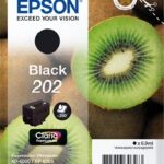 Epson Ink C13T02E14010 / 202 Black