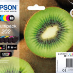 Epson Ink C13T02E74010 / 202 Multipack BK,PBK,C,M,Y