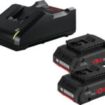 Bosch Professional Ladegeraet und 2 Akkus 1600A01BA3