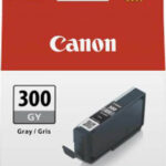 Canon Ink 4200C001 / PFI-300 GY Gray