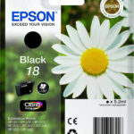 Epson Ink C13T18014012 / 18 Black