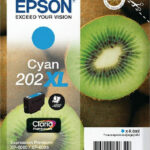 Epson Ink C13T02H24010 / 202XL XL Cyan