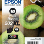 Epson Tinte C13T02H14010 Nr.202XL Foto Schwarz